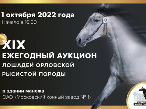 Ежегодный аукцион на Московском конном заводе